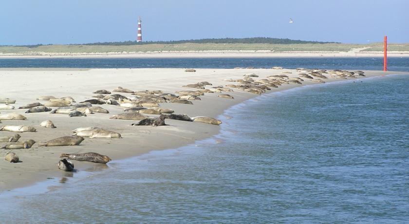 Zeeduin, Met Zonnig Terras - Volledige Keuken- Resort Amelander Kaap, Incl Verwarmd Hotel-Zwembad Nabij Dorp, Duinen En Strand Hollum  Dış mekan fotoğraf