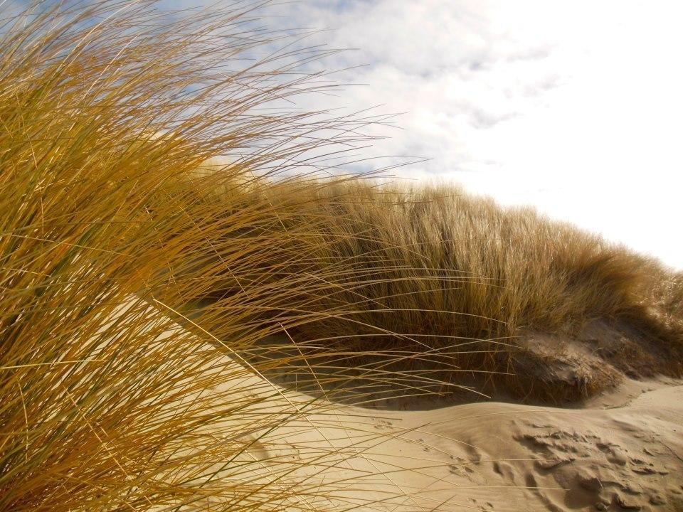 Zeeduin, Met Zonnig Terras - Volledige Keuken- Resort Amelander Kaap, Incl Verwarmd Hotel-Zwembad Nabij Dorp, Duinen En Strand Hollum  Oda fotoğraf